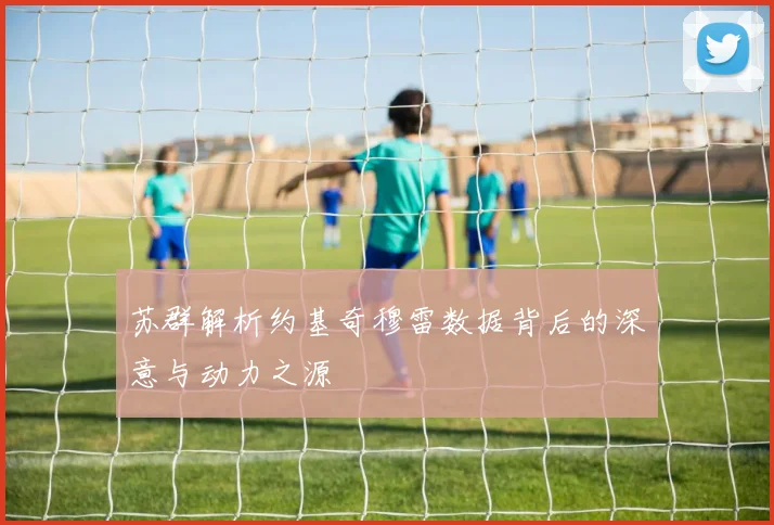 苏群解析约基奇穆雷数据背后的深意与动力之源
